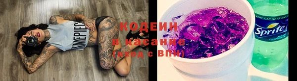 ешки Богданович