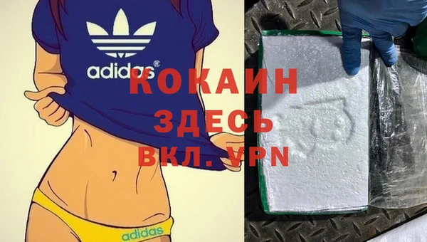 ешки Богданович